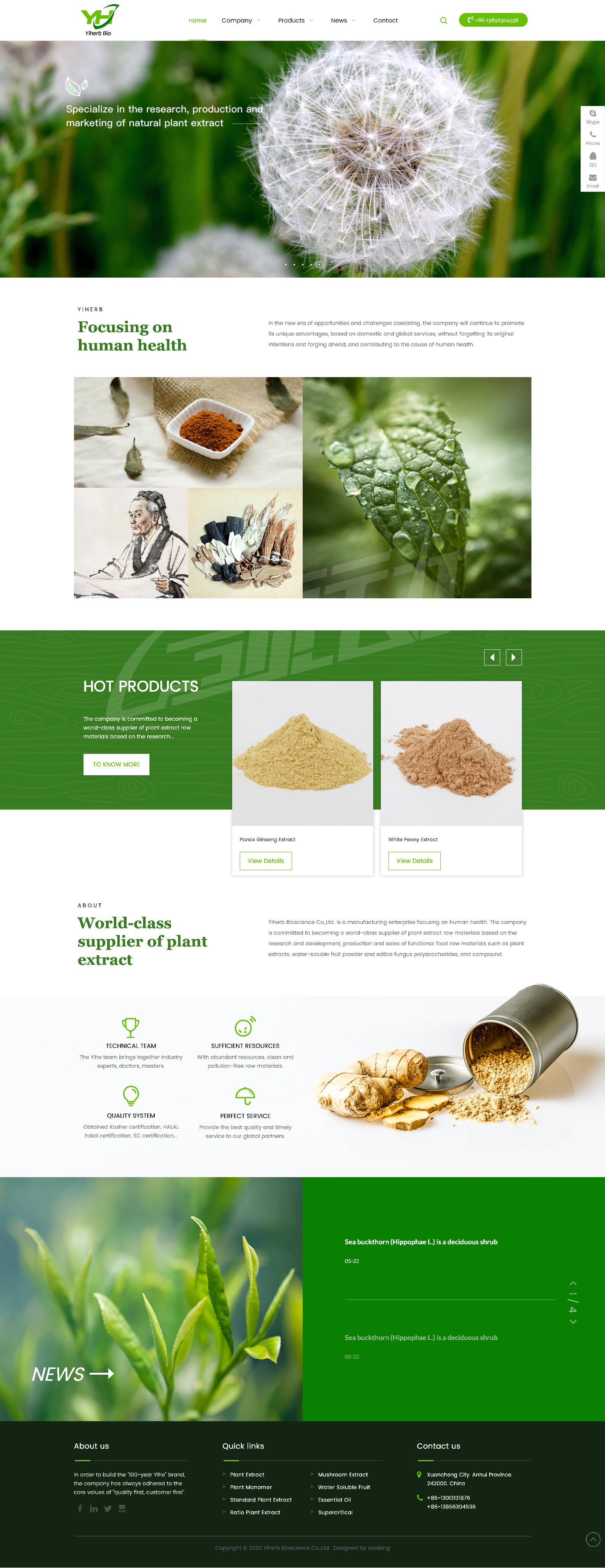 焦点领动外贸网站建设